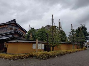 金沢駅付近の雪吊り