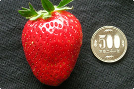 0327船橋センター