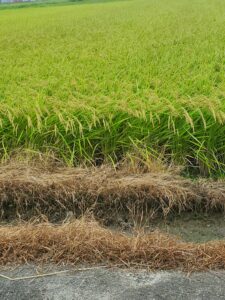 0904川島センター②